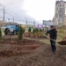 В Омске завершают благоустройство зеленой зоны «Бусины» на Жукова и Пушкина Фото: max.ru/shelest_sn