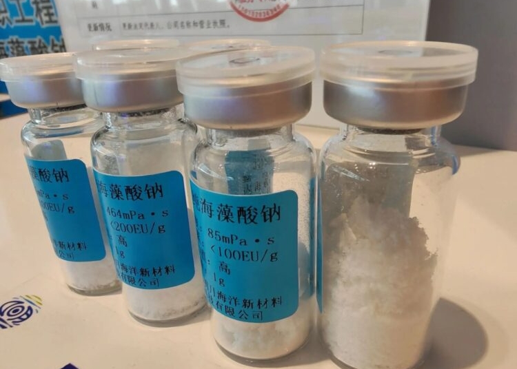 Золото со дна морского: омичам рассказали, почему сейчас популярны водоросли