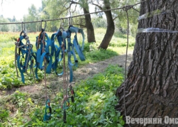 Омичи поучаствовали в финале «Семейной зарницы» Фото: Владимир Казионов