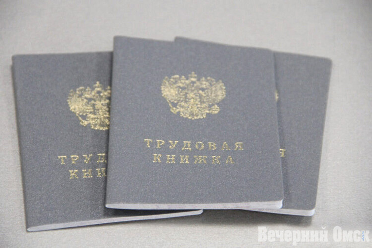 Проект «Территория диалога». Омск в развитии: МОЛОДЁЖНАЯ ПОЛИТИКА И ВОЛОНТЁРСКОЕ ДВИЖЕНИЕ