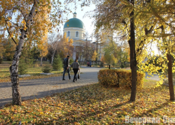Фото: Владимир Казионов